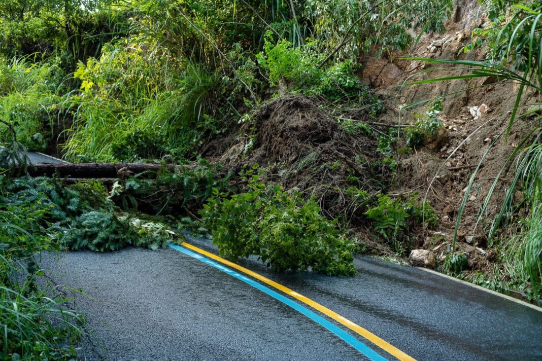 Carretera de montaña bloqueada por un derrumbe de tierra y árboles caídos tras las lluvias