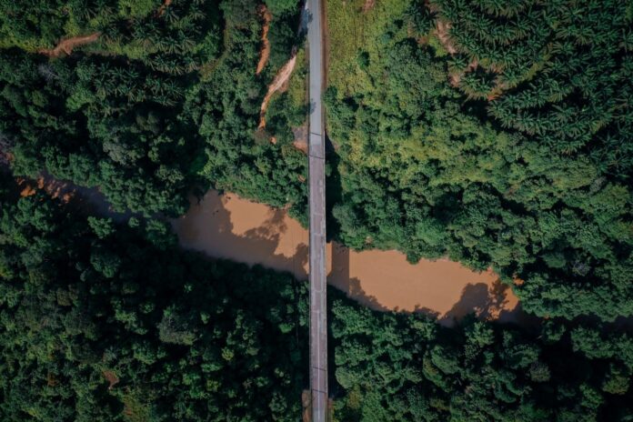 Tres puentes de El Higo se quedaron sin constructor y la SICT los vuelve a licitar, casi un año después de las inundaciones Vista aérea de un puente angosto que cruza un río de agua turbia entre vegetación espesa