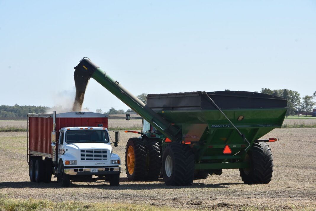 Un carro granelero descarga grano en un camión durante la cosecha en un campo de Estados Unidos