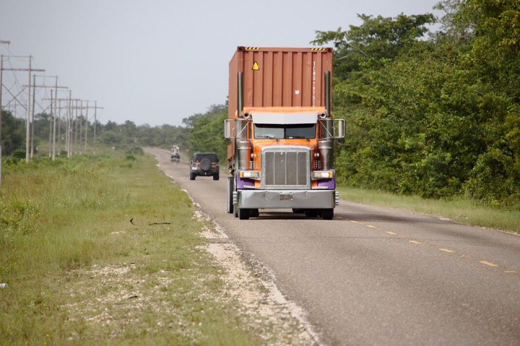 Tractocamión con un contenedor por una carretera de dos carriles entre vegetación tropical