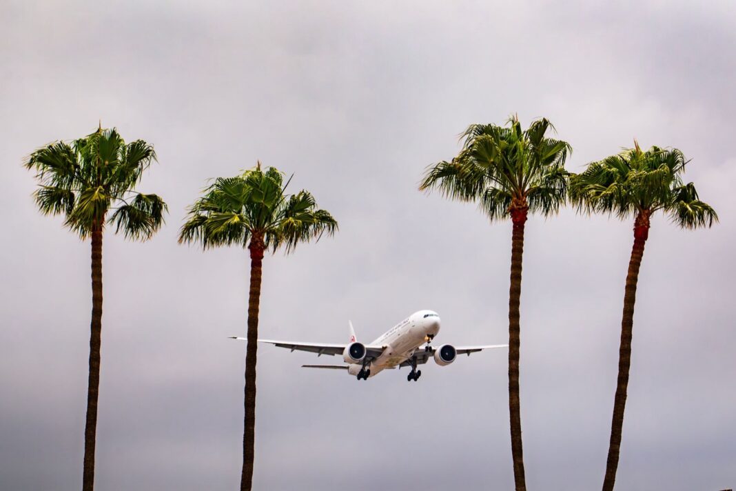 Avión de pasajeros en aproximación entre cuatro palmeras bajo un cielo nublado en el sur de California