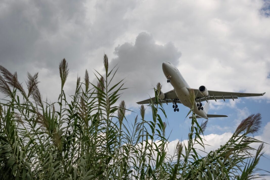Avión de pasajeros en aproximación sobre cañas del delta bajo un cielo con nubes en Barcelona