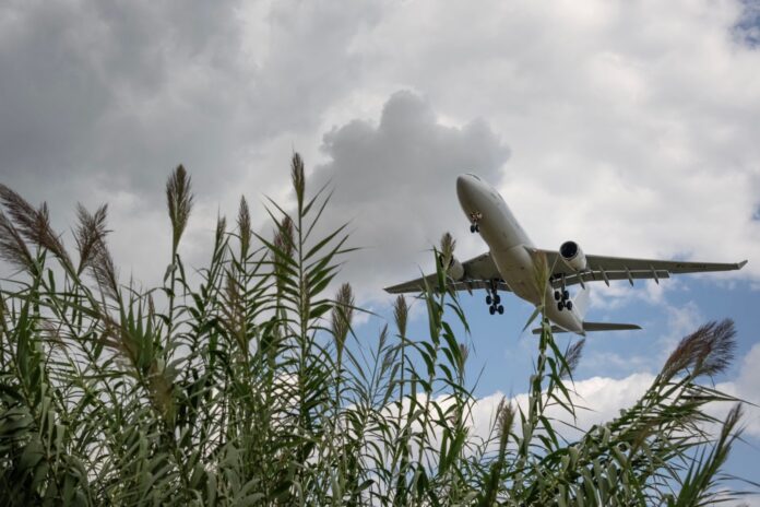 Ampliación de El Prat en 2036: el aeropuerto ya roza 60 millones Avión de pasajeros en aproximación sobre cañas del delta bajo un cielo con nubes en Barcelona