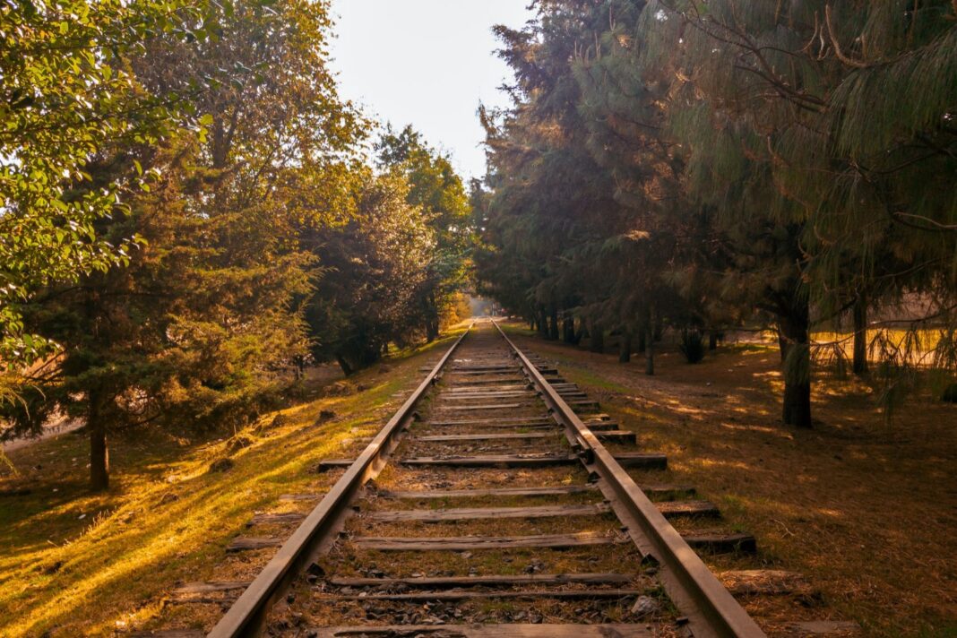 Vía férrea entre árboles en México, imagen ilustrativa del descarrilamiento de un tren de Ferromex en Tonila, Jalisco