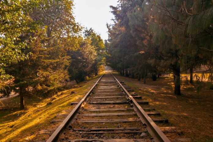 México: tren de Ferromex descarrila en Tonila y mueren 2 guardias Vía férrea entre árboles en México, imagen ilustrativa del descarrilamiento de un tren de Ferromex en Tonila, Jalisco
