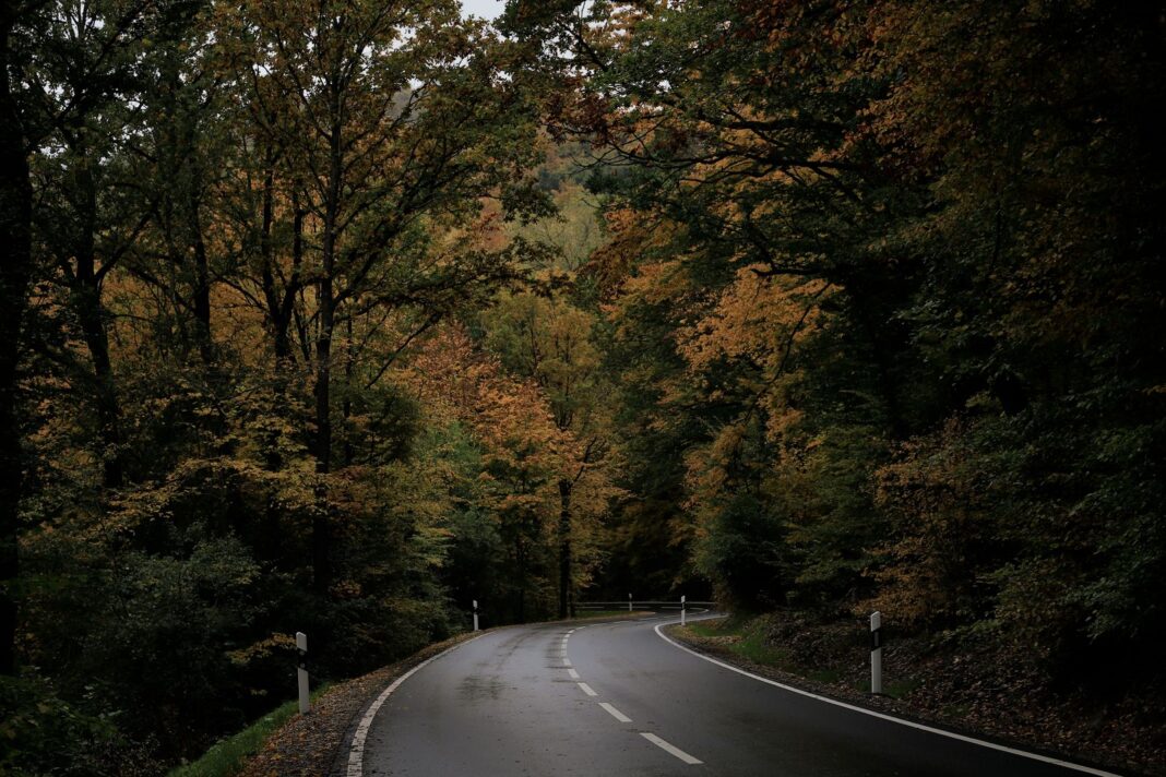 Carretera de montaña con curvas entre un bosque otoñal, con el asfalto mojado