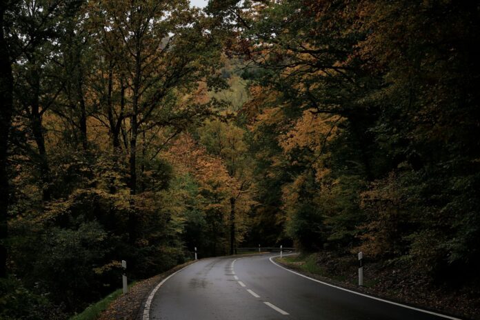Cataluña estudia prohibir ir de pie en buses tras 87 heridos Carretera de montaña con curvas entre un bosque otoñal, con el asfalto mojado