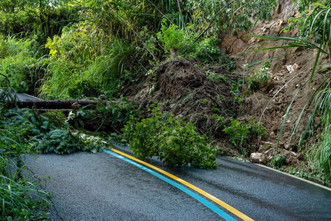Derrumbe de tierra y árboles caídos sobre una carretera asfaltada rodeada de vegetación