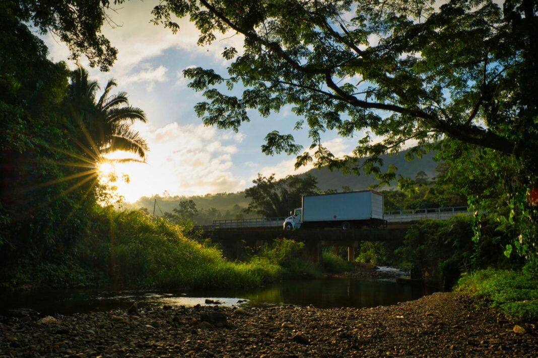 Camión de caja blanca cruza un puente de concreto sobre un río entre vegetación tropical al amanecer